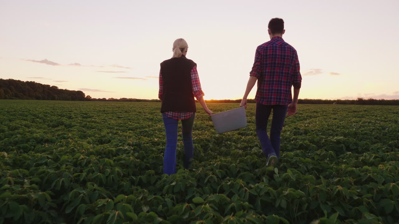 엄마와 그의 아들은 들판 수확에서 함께 일합니다