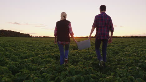 Mom-And-His-Son-Work-Together-In-The-Field-Harvesting