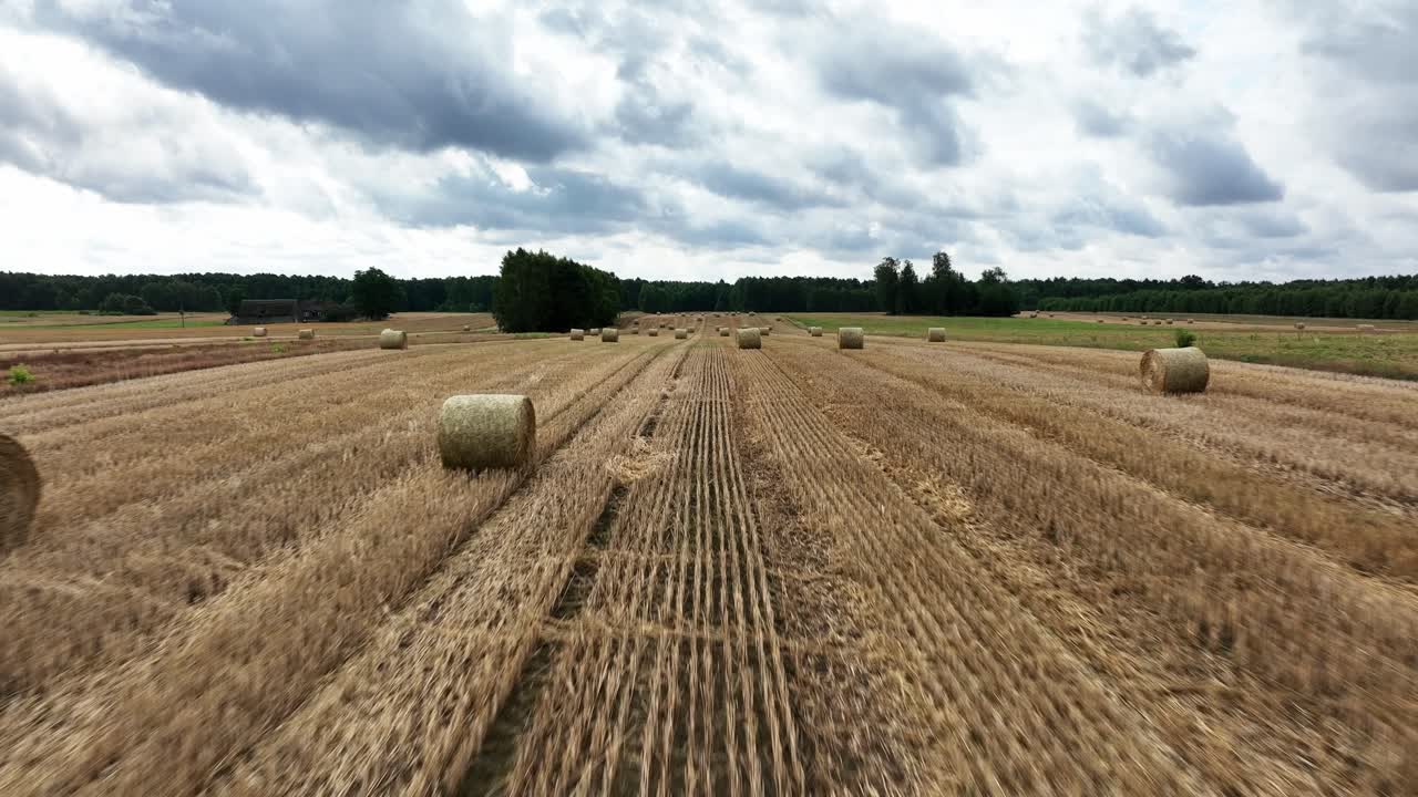 Immerse in the stunning bird's-eye view of straw bales on the fields