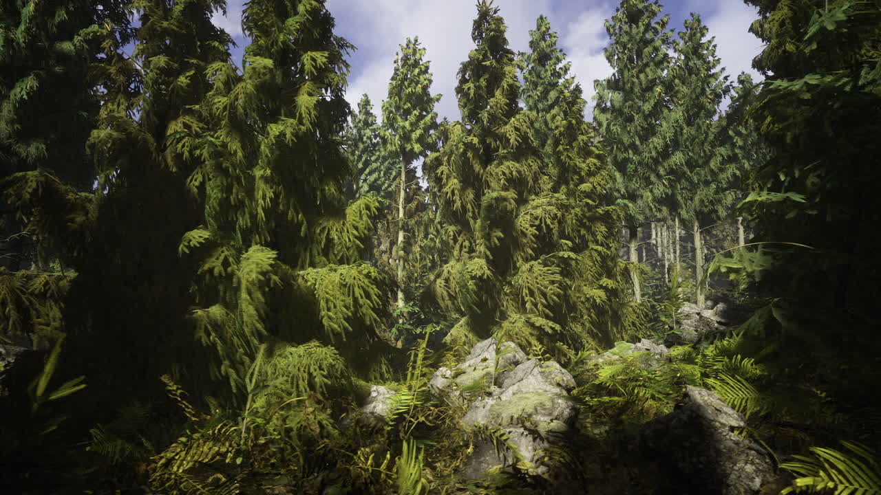 Lush green forest with towering trees and vibrant undergrowth during daylight