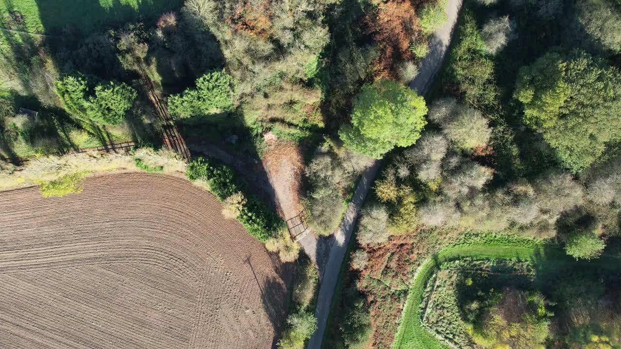 이 놀라운 공중 영상에서 위에서 울창한 숲의 평온한 아름다움을 경험하십시오.