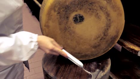 checking the quality, maturity of parmesan by tapping, hammer, knocking