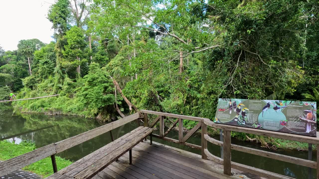 평화로운 숲 강 전망과 야생동물 관찰