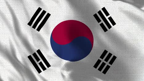 realistic 4k 30 fps flag of the south korea