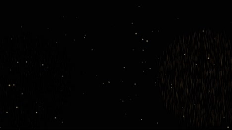 a vibrant and dynamic fireworks animation sequence.