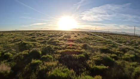 Flooded-plains-of-the-Mojave-Desert-wilderness-in-a-wet-spring-year---aerial-flyover