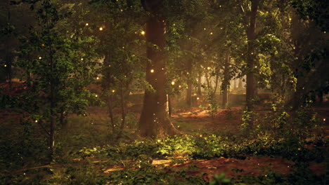 enchanted forest with fireflies