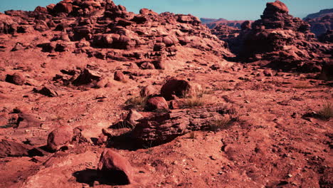 red rock canyon landscape