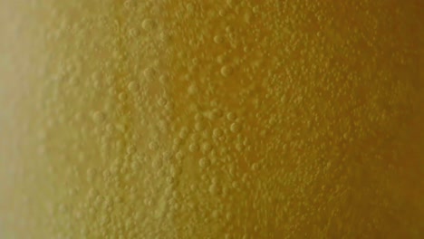 Close-Up-of-Bubbling-Beer-in-a-Glass