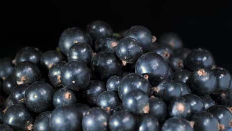 rotate of fresh blackcurrant on black background. close up. camera rotation 360 degrees. black currant or blackcurrant (ríbes nígrum)