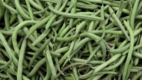 fresh organic green beans from farm close up from different angle