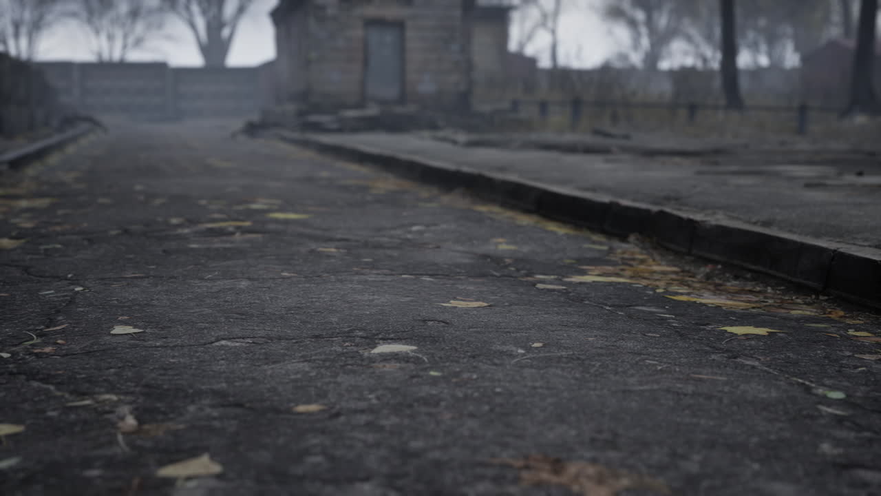 숲 속 의  ⁇ 은 버려진 차고