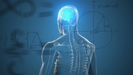 animación de sumas matemáticas y diagramas sobre el cerebro digital iluminado en el cuerpo humano.