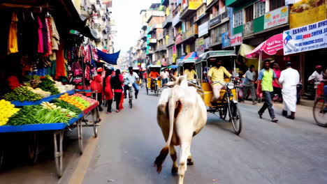 busy street scene in india with cow and auto-rickshaws