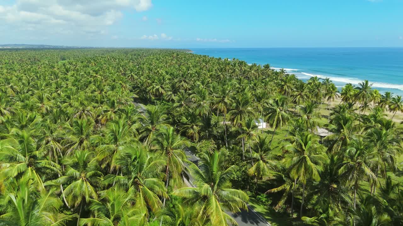 Autostrada nel mezzo di un boschetto di palme da cocco ai margini della spiaggia La Entrada a Cabrera, provincia di Trinidad Sanchez, Repubblica Dominicana