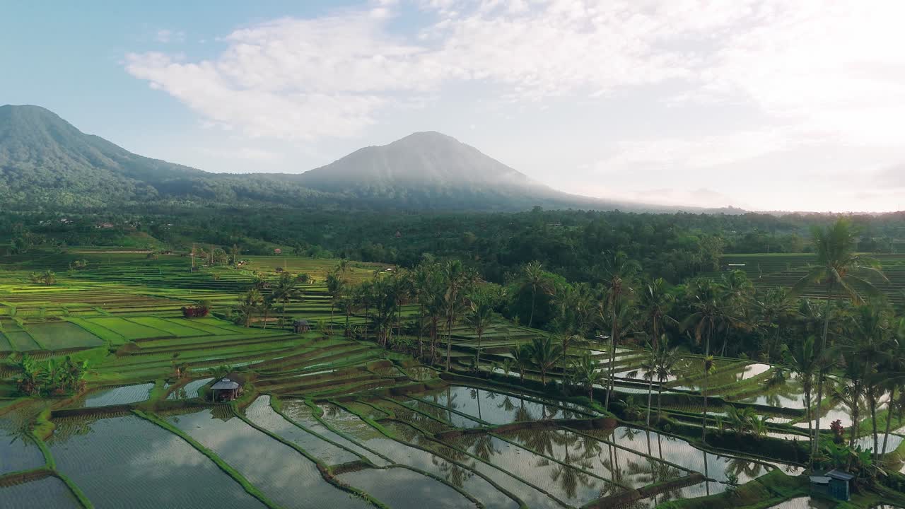 Drone dolly intro of lush green rice terraces reflecting sky in Jatiluwih, Bali at base of volcano