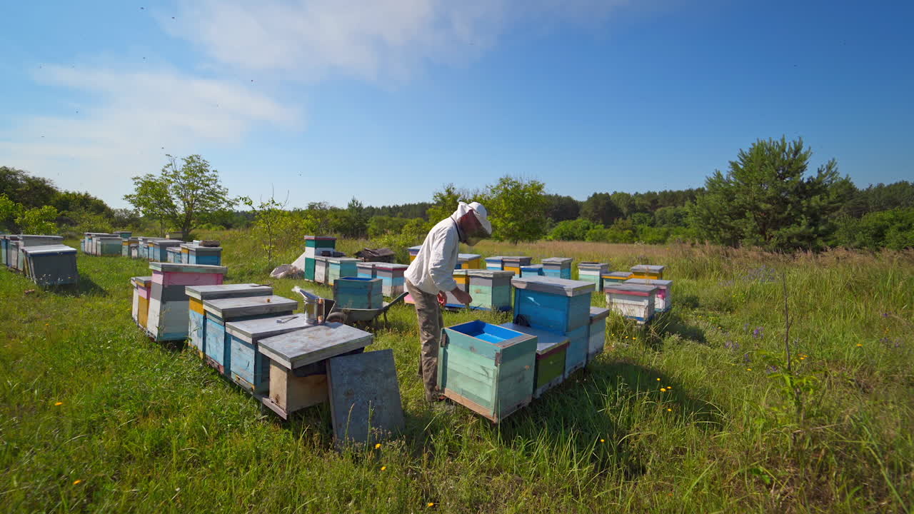Apiculture in nature. Beekeeper caucasian man takes out beehive honeycomb frame in apiary garden. Natural production of delicious honey. Beekeeping business.