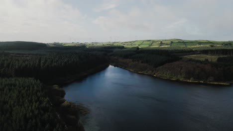 Tilting-aerial-view-pulling-back-to-reveal-beautiful-forest-and-lake-scenery