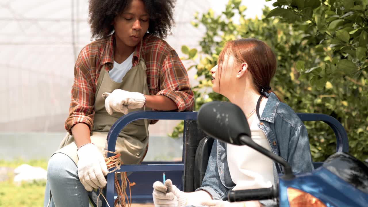 dos mujeres jóvenes felices hablan y escriben en verduras orgánicas de la granja. jóvenes agricultoras que trabajan en la casa de la fábrica. concepto de personas cultivador cría de producción, vegetariano y agricultura.