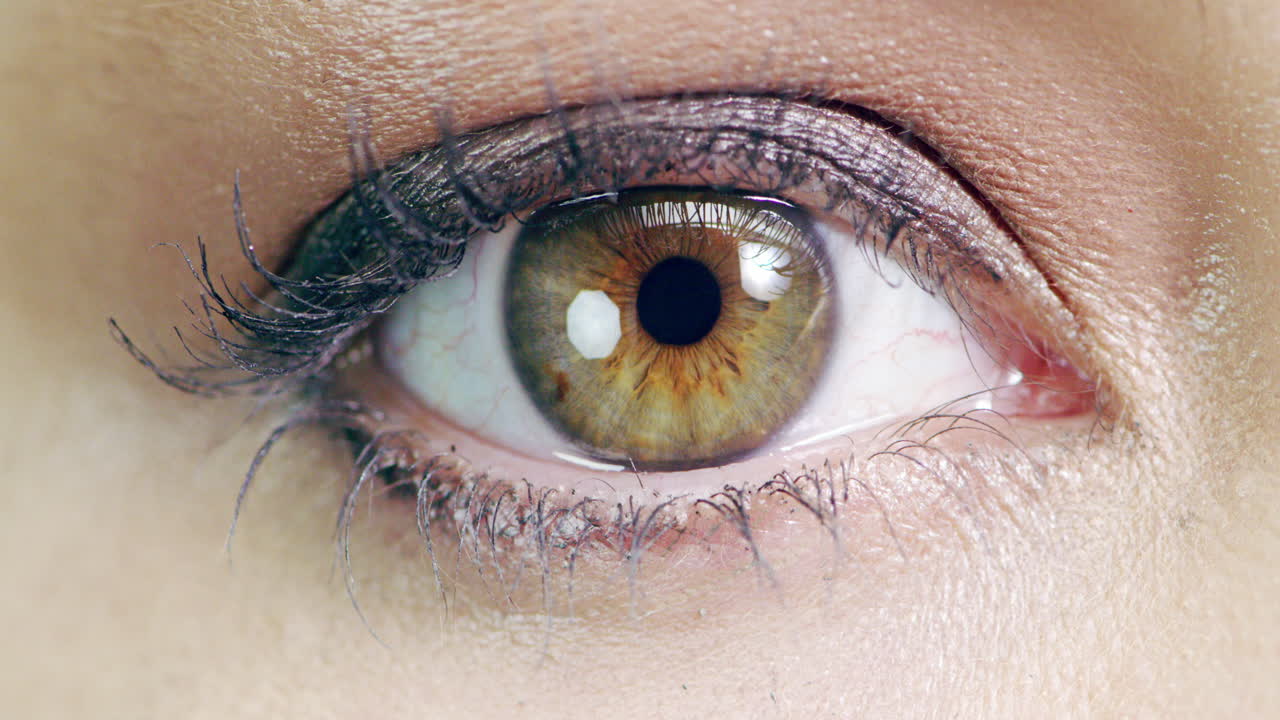 acentuar las pestañas y acentuar los ojos