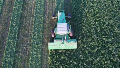 In-Door-County,-WI,-a-farmer-on-a-John-Deere-tractor,-cuts-his-alfalfa-field-in-late-August-2