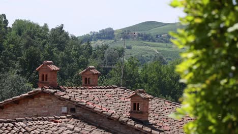 rooftop and greenery with distant hills