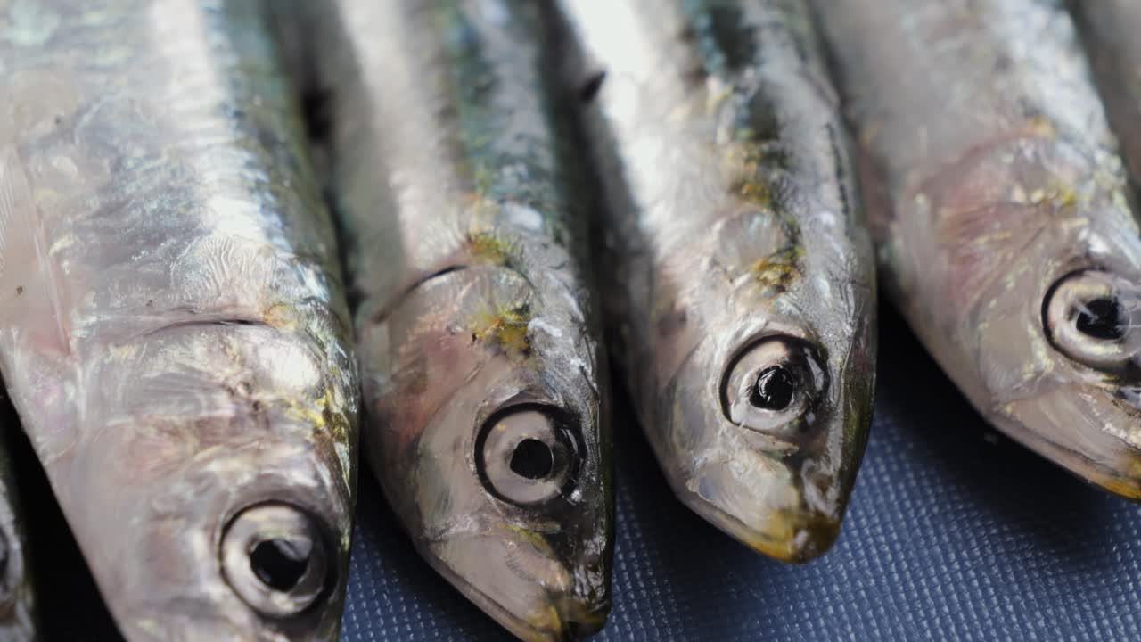 Close-up of Fresh Sardines
