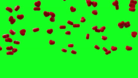 Corazones-Rojos-Brillantes-Cayendo-Pantalla-Verde-Lenta