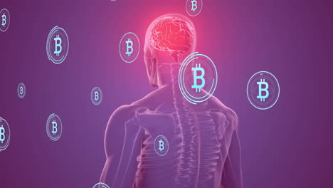 bitcoin symbols and brain activity animation over human skeleton, purple background