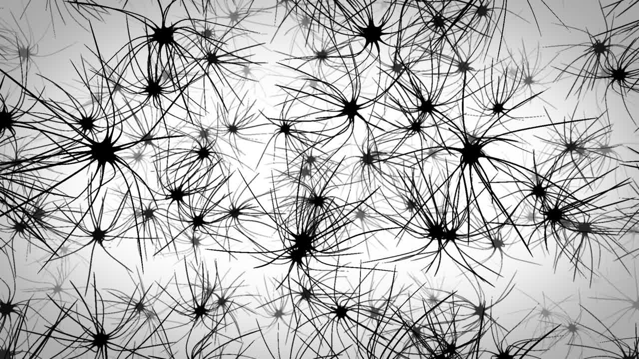 Neuron Network