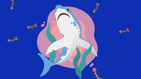 animation of shark on pink and blue background