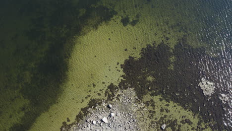 vista de arriba de las aguas tranquilas y claras de la reserva natural de saltö en bohuslan, suecia