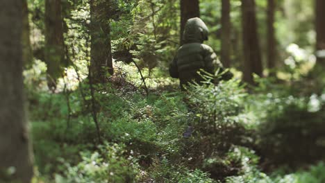 Niño-Solo-En-El-Bosque