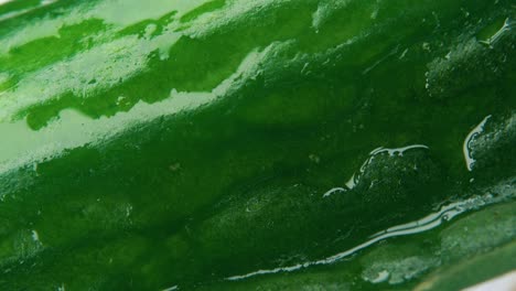 top view of fresh cucumber rotation. 4k macro