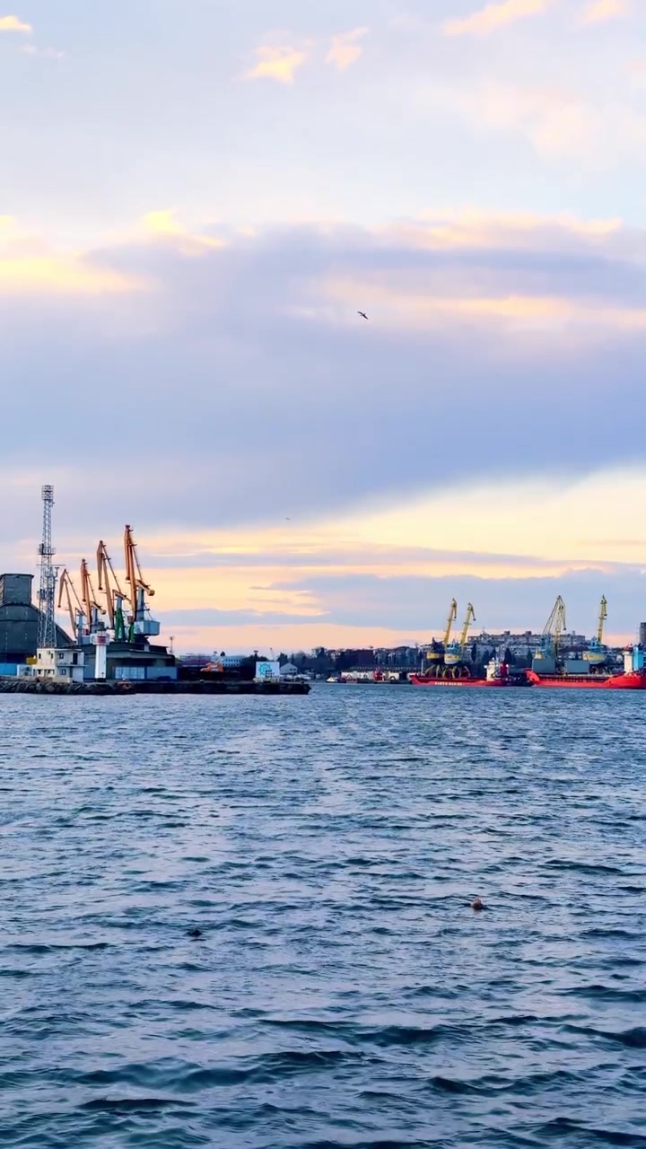 Actividad en el puerto durante el atardecer. Barcos amarrados en el puerto con grúas y edificios al fondo. El sol se pone sobre el agua.