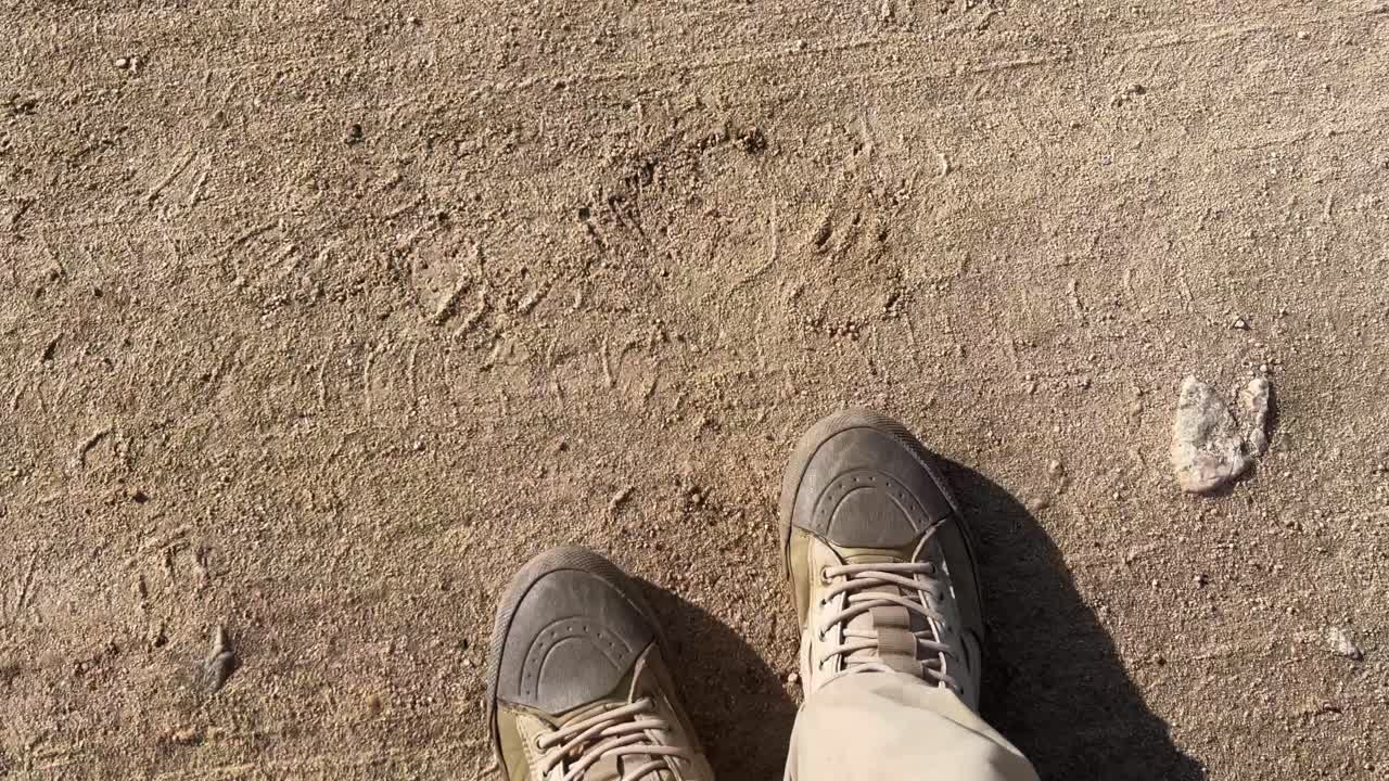 트럭 문을 열고 트럭에서 뛰어내려 사막의 풍경을 드러내는 사람