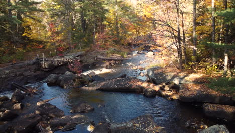 drone flight taking off next to a mountain creek flowing through a deciduous forest in fall colors