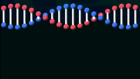animación de una cadena de adn girando sobre un fondo negro
