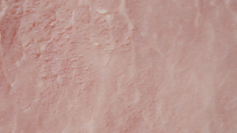 close up of a slice of ham