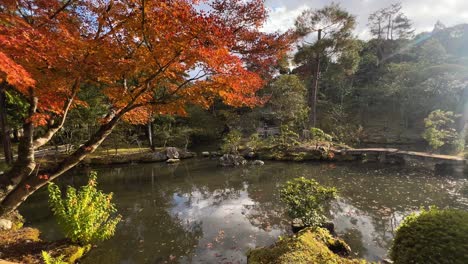 beautiful pond inside japanese landscape garden with fall colors