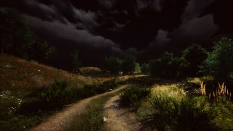 Thunderstorm-clouds-with-lightning-in-green-meadow