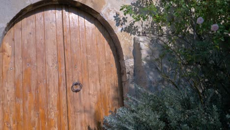 Old-Wooden-Door-And-Rose-Bush-At-Sunset-In-A-french-Provencal-Village-in-slowmotion