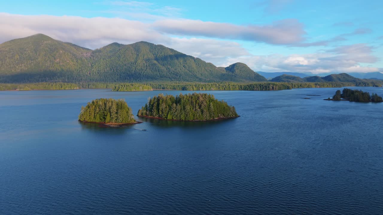 tomada de drone de tofino en la isla de vancouver que muestra colores de otoño, costa escarpada y olas del océano en una vista aérea panorámica.