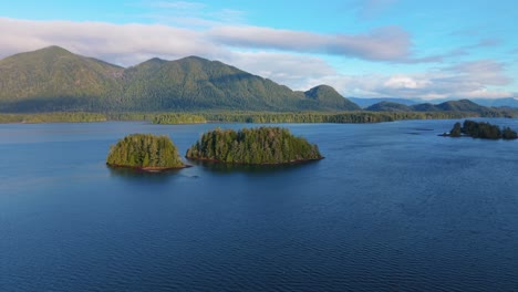 drone shot of tofino on vancouver island displaying autumn colors, rugged coastline, and ocean waves in a scenic aerial view.