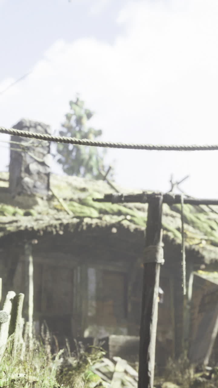 Old wooden cabin surrounded by trees and overgrown plants in a rural setting