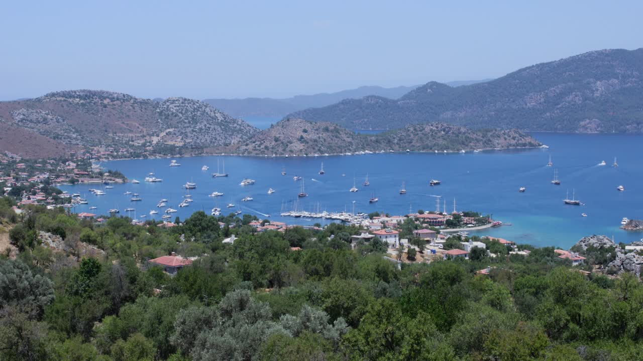 caretta caretta eggs beach in Turkey