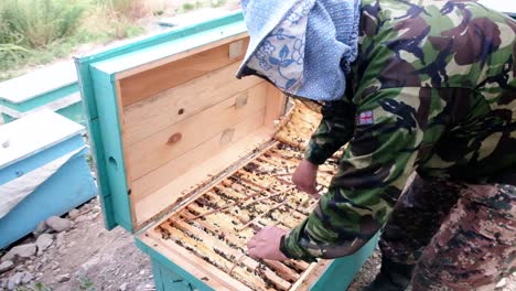 Bee-Farm-in-Central-Asia,-Kyrgyzstan