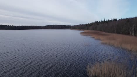 Drone-De-Bajo-Nivel-Volando-Sobre-El-Lago-Escandinavo,-Juncos-Y-Vegetación-De-Madera-Densa---Dolly-In-Y-Tiro-Inclinado-Hacia-Arriba