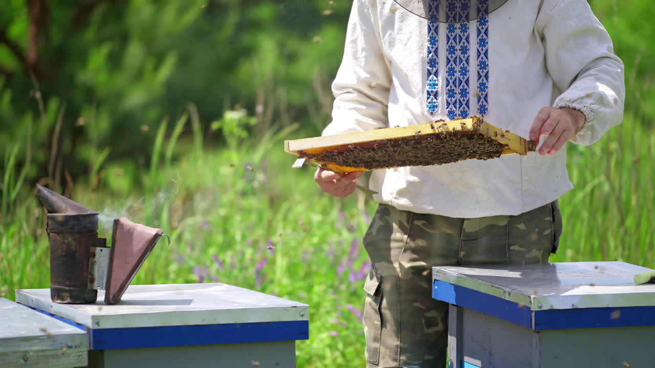 Apiarist near beehive. Bees on frame in man's hands. Beekeeper inspects bees near the hive on green nature background. Black chimney on a hive.