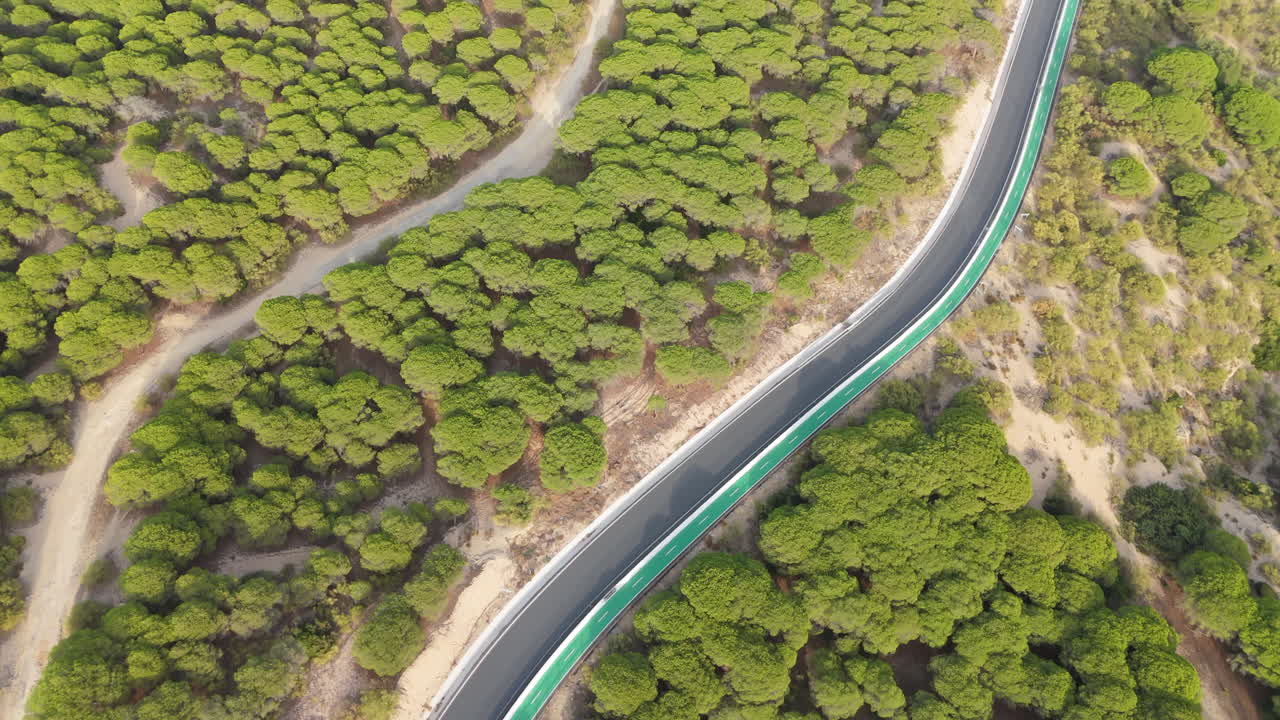 revelación aérea de una ciudad blanca en la costa de españa y un bosque de pinos